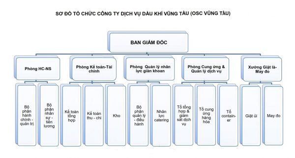 [:en]About Us[:vi]Giới thiệu[:] – Osc Vũng Tàu